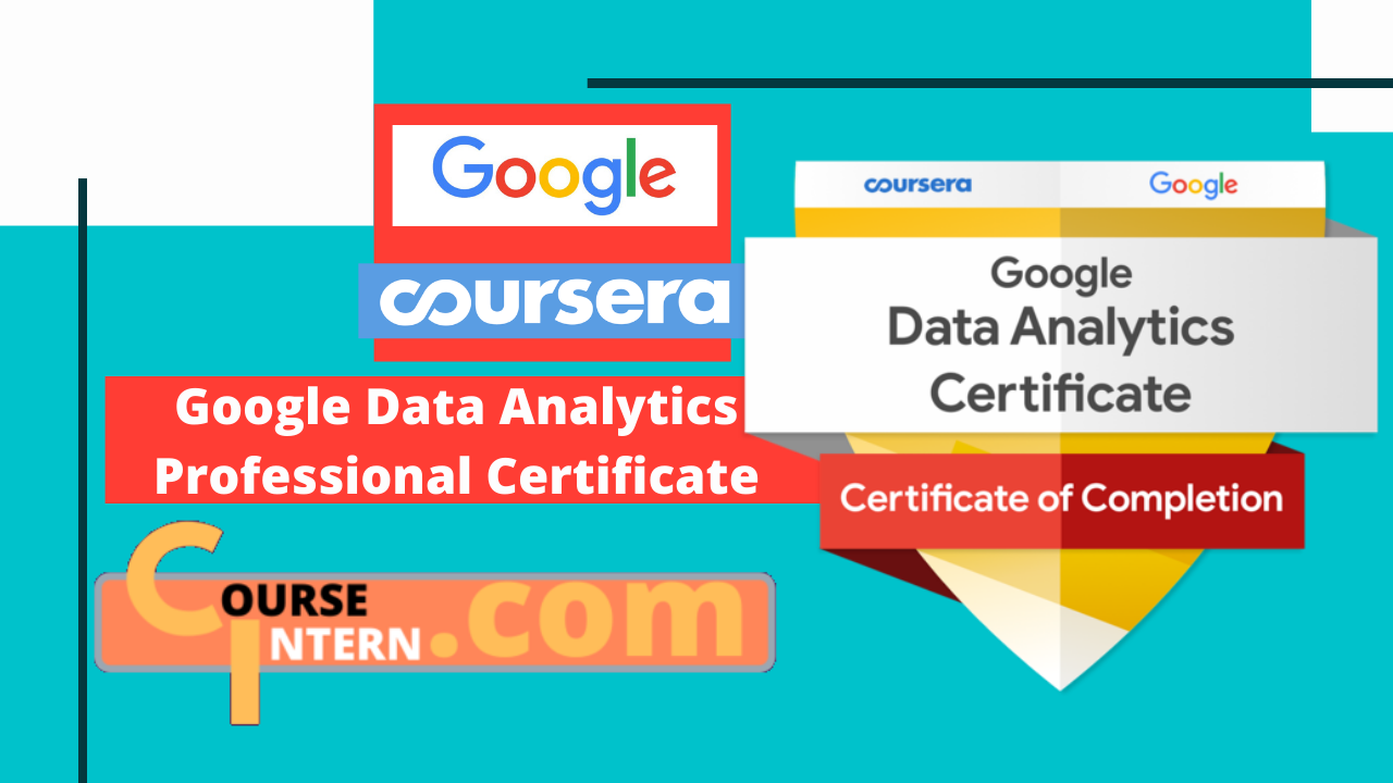 google data analytics professional certificate case study